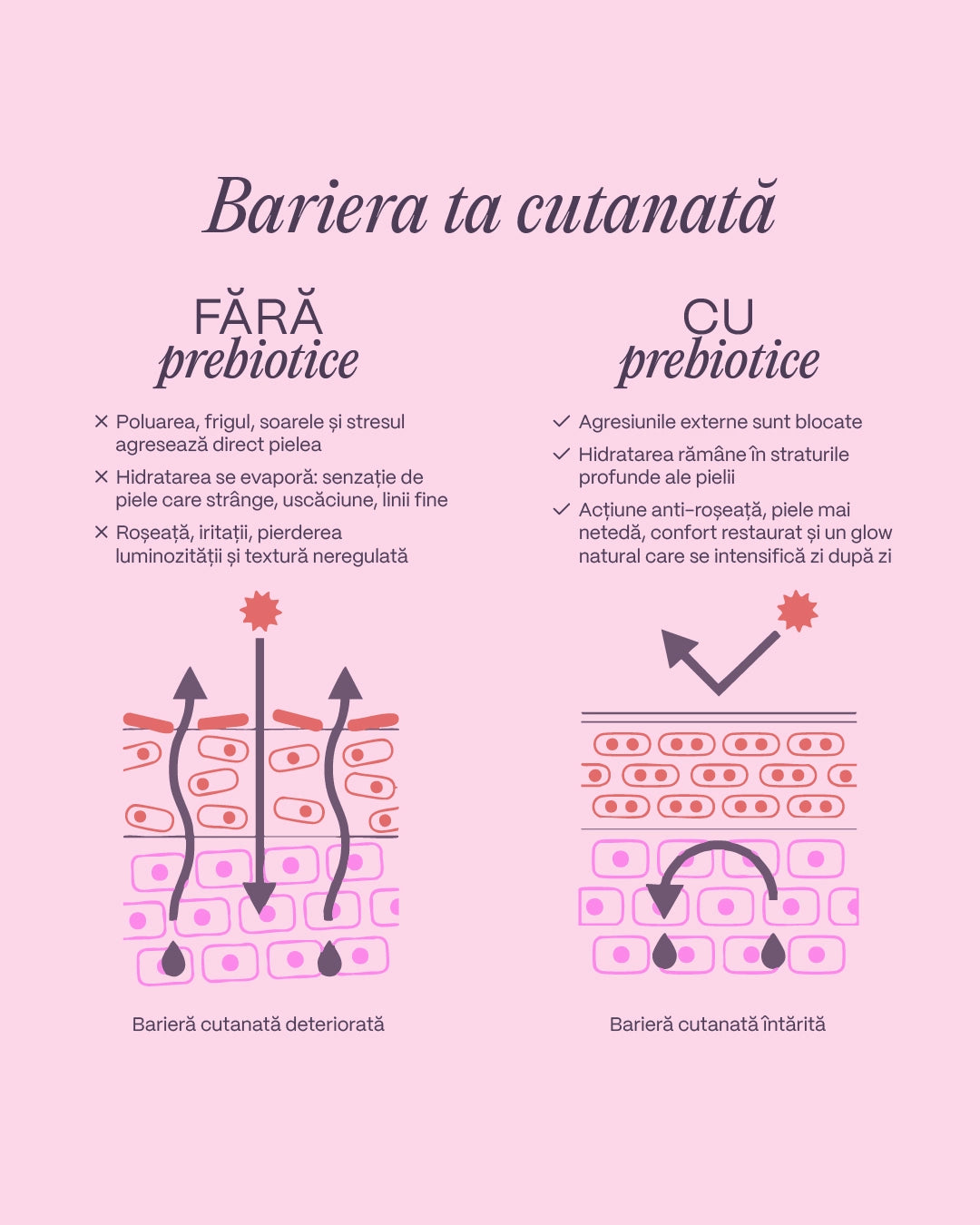 Ser prebiotice hidratare intensă